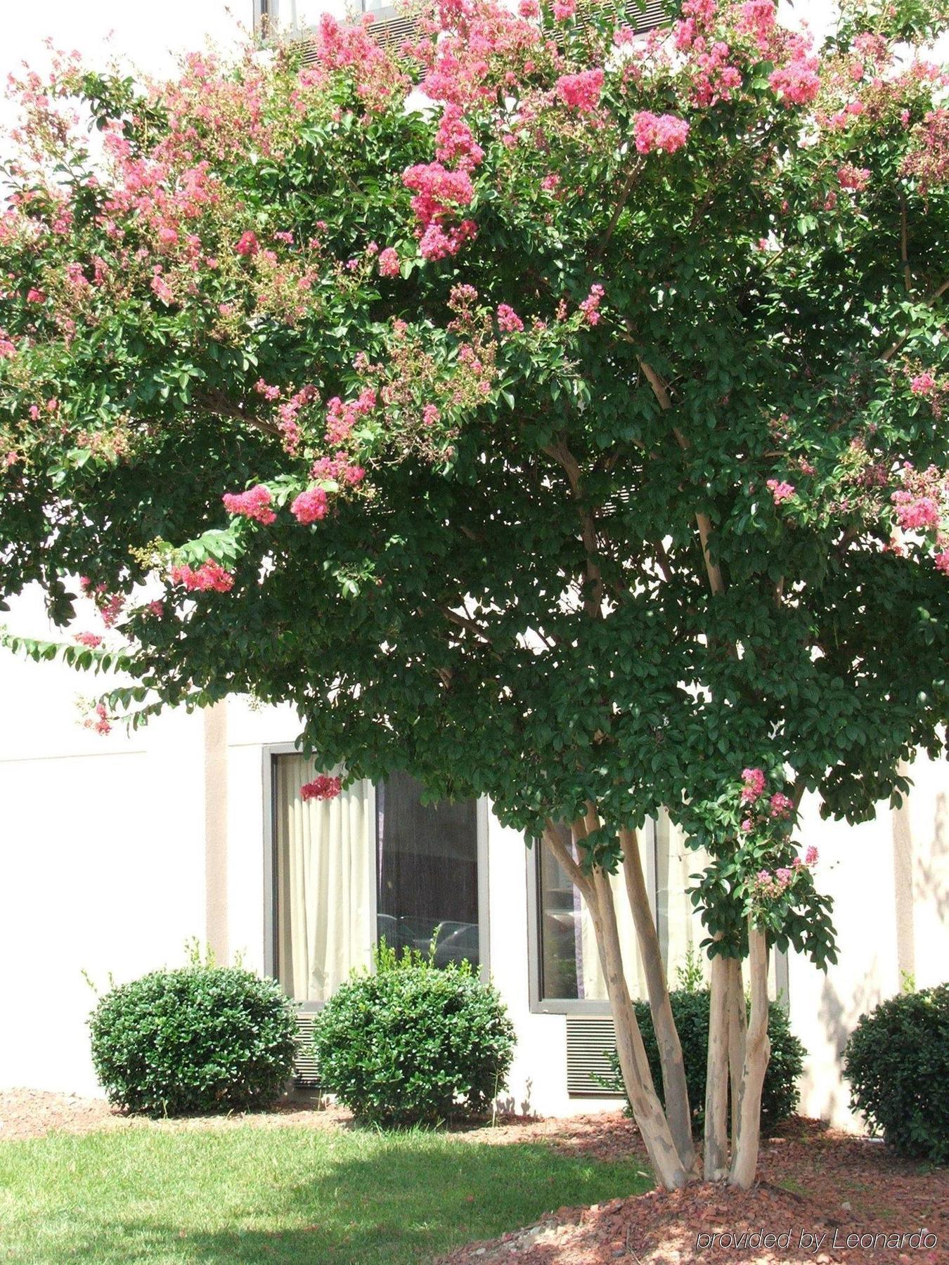 Holiday Inn Express Raleigh-Durham Airport By Ihg Morrisville Exterior photo